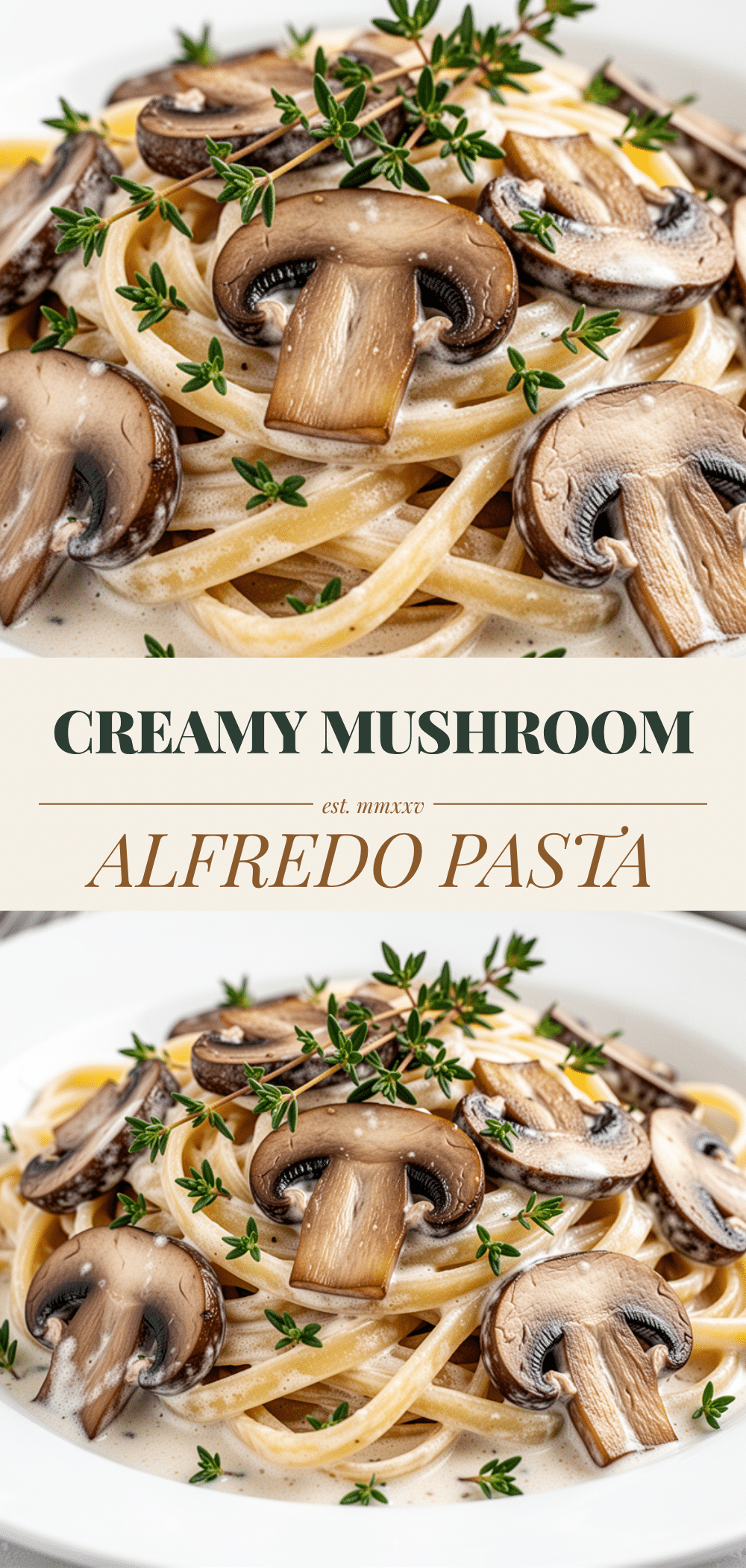 Creamy Mushroom Alfredo Pasta: Easy 20 Min Dinner 5 creamy mushroom alfredo pasta recipe