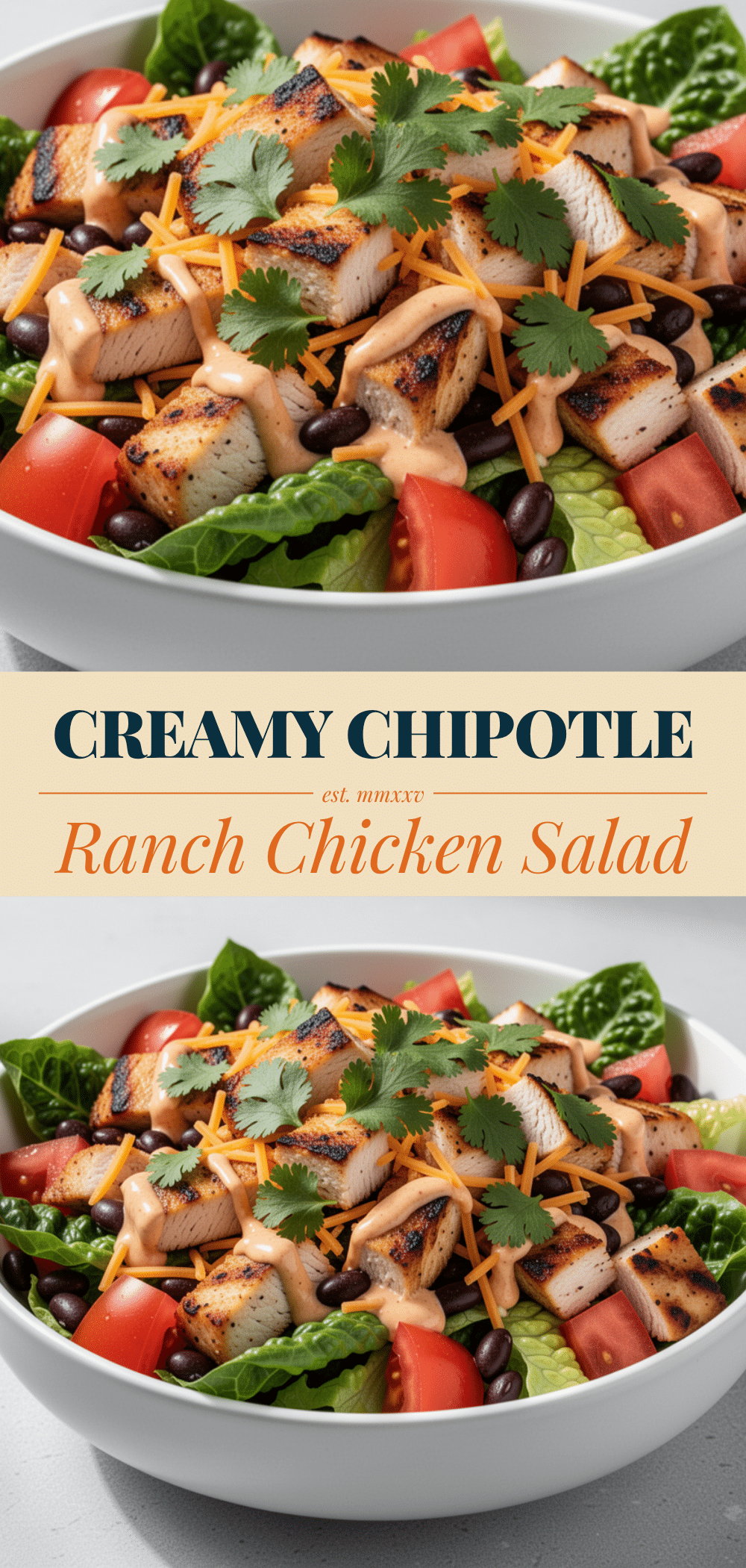 Southwest Chicken Salad: 5-Ingredient High Protein Lunch 5 Southwest Chicken Salad recipe
