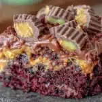 Reeses Peanut Butter Chocolate Cake - featured image